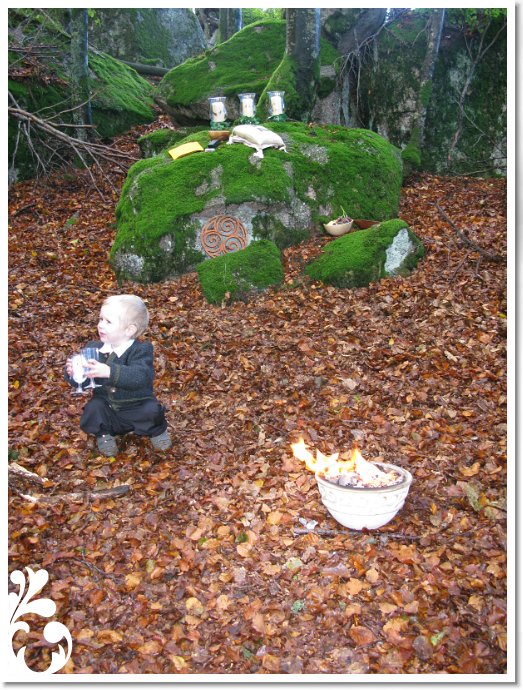 Bild 2208
